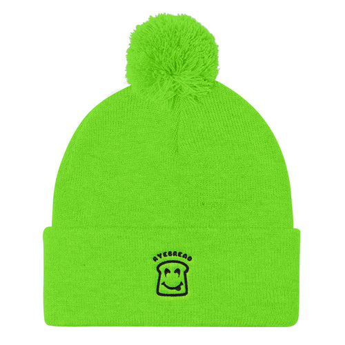 Pom Pom Knit Cap